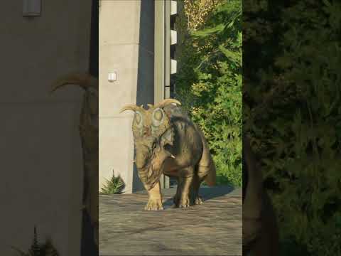 Albertosaurus Fights Pachyrhinosaurus Jurassic World Evolution 2