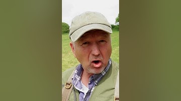 Het kopen van je eerste metaaldetector: de grootste beginnersfout