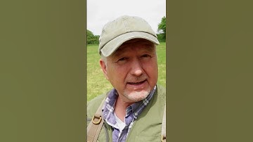 Het kopen van je eerste metaaldetector: de grootste beginnersfout