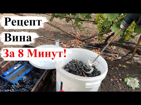 Рецепт ВИНА за 8 МИНУТ!