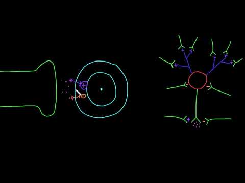 Video: Reseptorların daxililəşdirilməsi nədir?