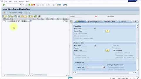 SAP CO Period End Closing   Cancel Run Top Down Distribution in CO PA KE28L