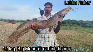 12 k.g.  Big Monster catfish fishing