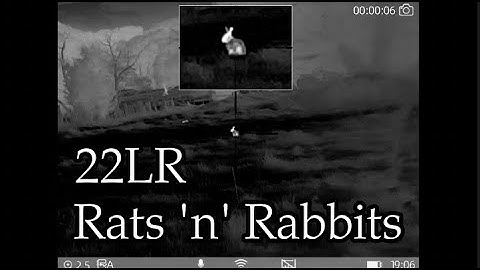 Plague Rabbits vs Thermal Scope || CZ515 22LR || Thermtec Ares 635