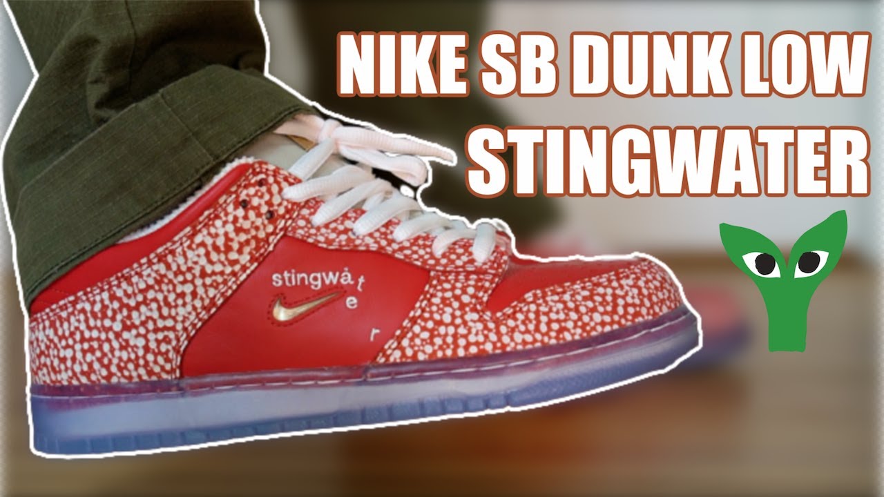 NIKE SB DUNK LOW STINGWATER REVIEW \u0026 ON 