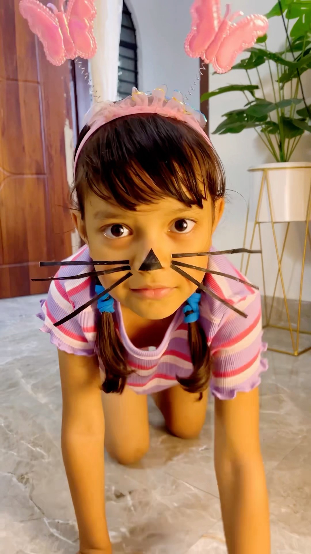 Reedishna Cat Beni