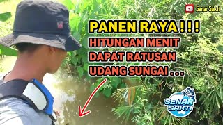 Kok Bisa Begini? Mencoba Bubu Payung Sakti,,, Sekali Pasang Bisa Untuk Lauk Makan Seminggu...