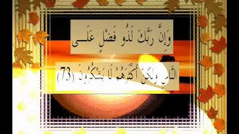 القرآن الكريم سورة النمل الأية 73.wmv