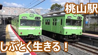 【国鉄形大活躍！】奈良線 桃山駅 動画集【まだまだ頑張る103系・205系・221系・・・】