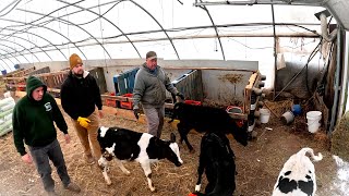 Download Lagu Ice is creating major issues MP3