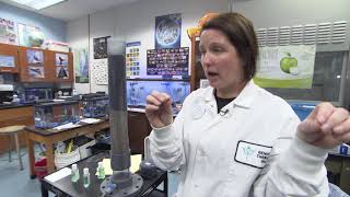 Virtual Science of Wastewater: Part 9: Final Treatment
