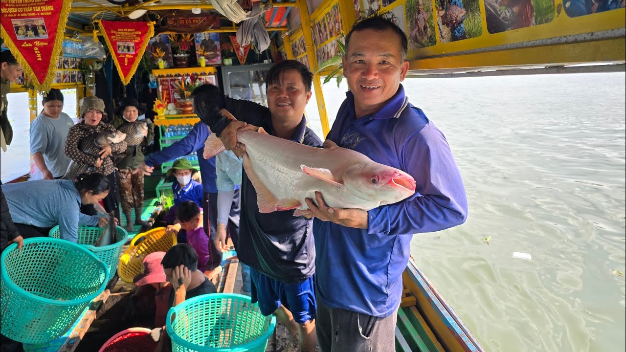 Đi Xem Vườn Mận...Đoàn Thả Cá Phóng Sanh Từ Thiện  đang phát trực tiếp!