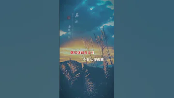 你输我陪你苦 你苦我陪你哭 不会让你孤独 歌曲名义 
