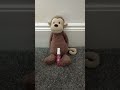 #jellycat #skincare #skincareroutine