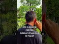 Нет энергии и болит поясница — это почки теряют ресурс . #qigong #саморазвитие #holistichealth