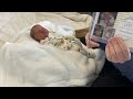 😊Blanket Reveal of New Baby💙Baby by Pink Peony Reborns ♥️