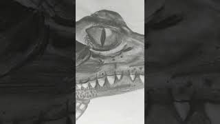 Crocodile  #sketch #shorts #youtubeshorts #art