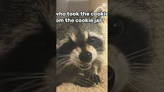 Who Took The Cookie From The Cookie Jar
