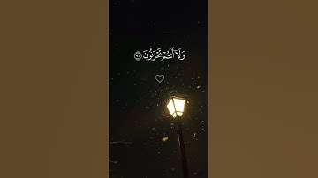 ياسر الدوسري تلاوة خاشعة #القرآن_الكريم #تلاوة_هادئة