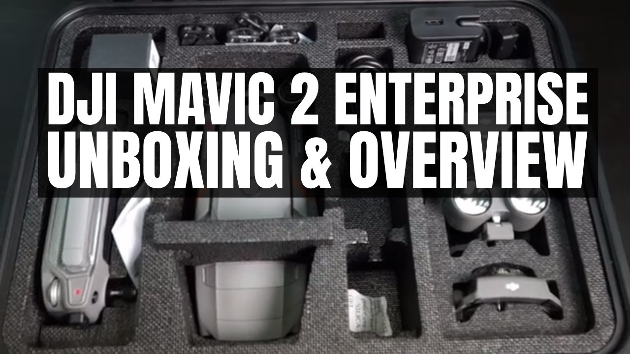 mavic 2 enterprise case