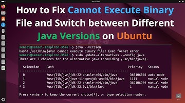 How to Fix Cannot Execute Binary File and Switch between Different Java Versions on Ubuntu
