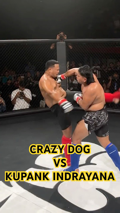 KUPANK INDRAYANA WIN BY TKO LAWAN CRAZY DOG #crazydog #rumblenightpromotions #bali #mma #kickboxing