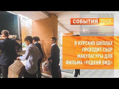 В курских школах проходит сбор макулатуры для фильма «Редкий вид»