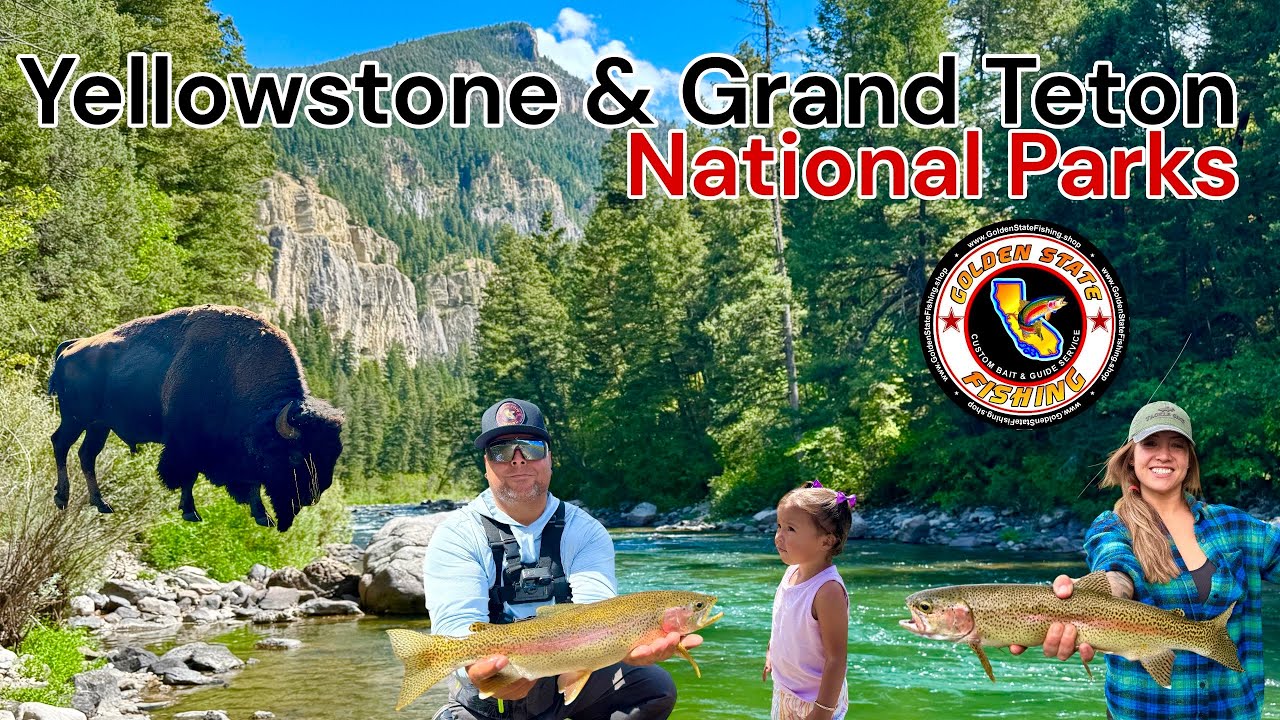 Национальные парки Йеллоустоун и Гранд-Титон и рыбалка на прекрасной реке Мэдисон.