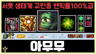 【아무무】1렙부터 한타까지 만능키 그 자체 이챔프 하나면 승률20퍼증가 ㄹㅇ