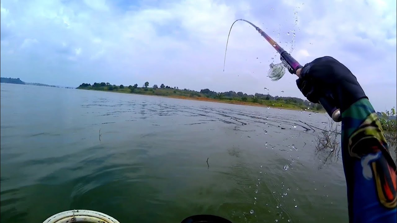 Istimewa...‼️Isinya Babon Semua...