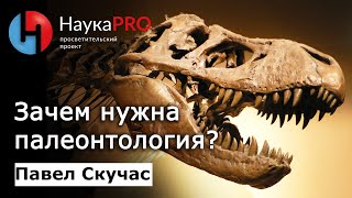 Зачем нужна палеонтология? | Лекции по палеонтологии – палеонтолог Павел Скучас | Научпоп