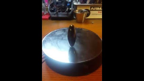 Egg magnet pulse motor w/cd4017