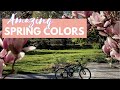 AMAZING COLORS OF SPRING FLOWERS I RELAXING MUSIC