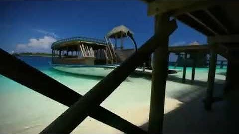 {۞ وَسَارِعُوا إِلَىٰ مَغْفِرَةٍ مِّن رَّبِّكُمْ } تلاوة هادئة وخاشعة فجرية