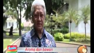 MATA NAJWA 21 0KTOBER 2015 DI BALIK DINDING ISTANA FULL
