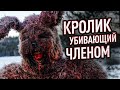 Обзор фильма "Кролик Убивающий Членом" ["Ну погоди!" для взрослых]