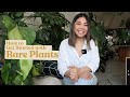 How to Get Started with Rare Plants | Tips for my younger self