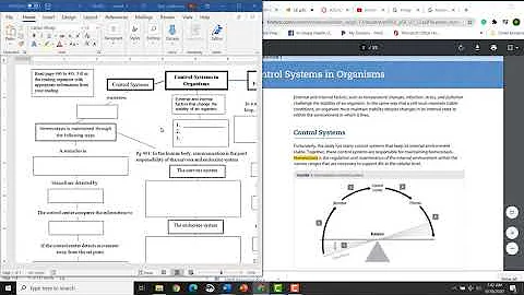 Control Systems in Organisms