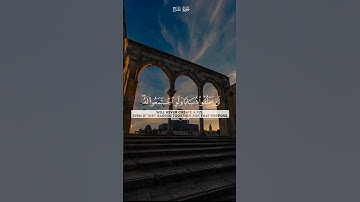 ما تيسر من سورة الحج |