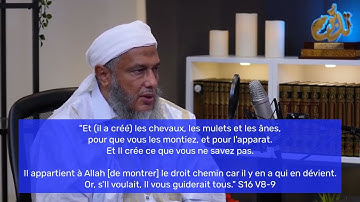 Un miracle dans S. An-Nahl remarqué par cheikh Dedew (Fr)  من استنباطات الشيخ الددو في سورة النحل