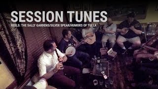 Session Tunes - The Sally Gardens/Silver Spear/Humors of Tulla chords