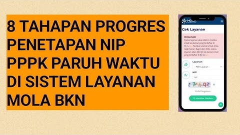8 Tahapan Progres Penetapan NIP PPPK Paruh Waktu di MOLA BKN | Lengkap & Mudah Dipahami!
