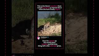 Bro Tried It Instant Regret Animal Edition #animals #fail #instantregret