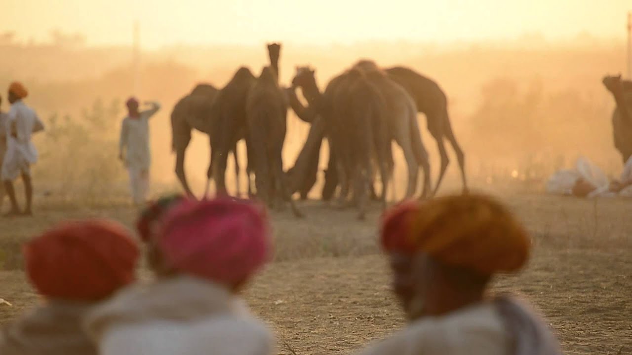 Nikon School Fair & Festival Workshop - Pushkar