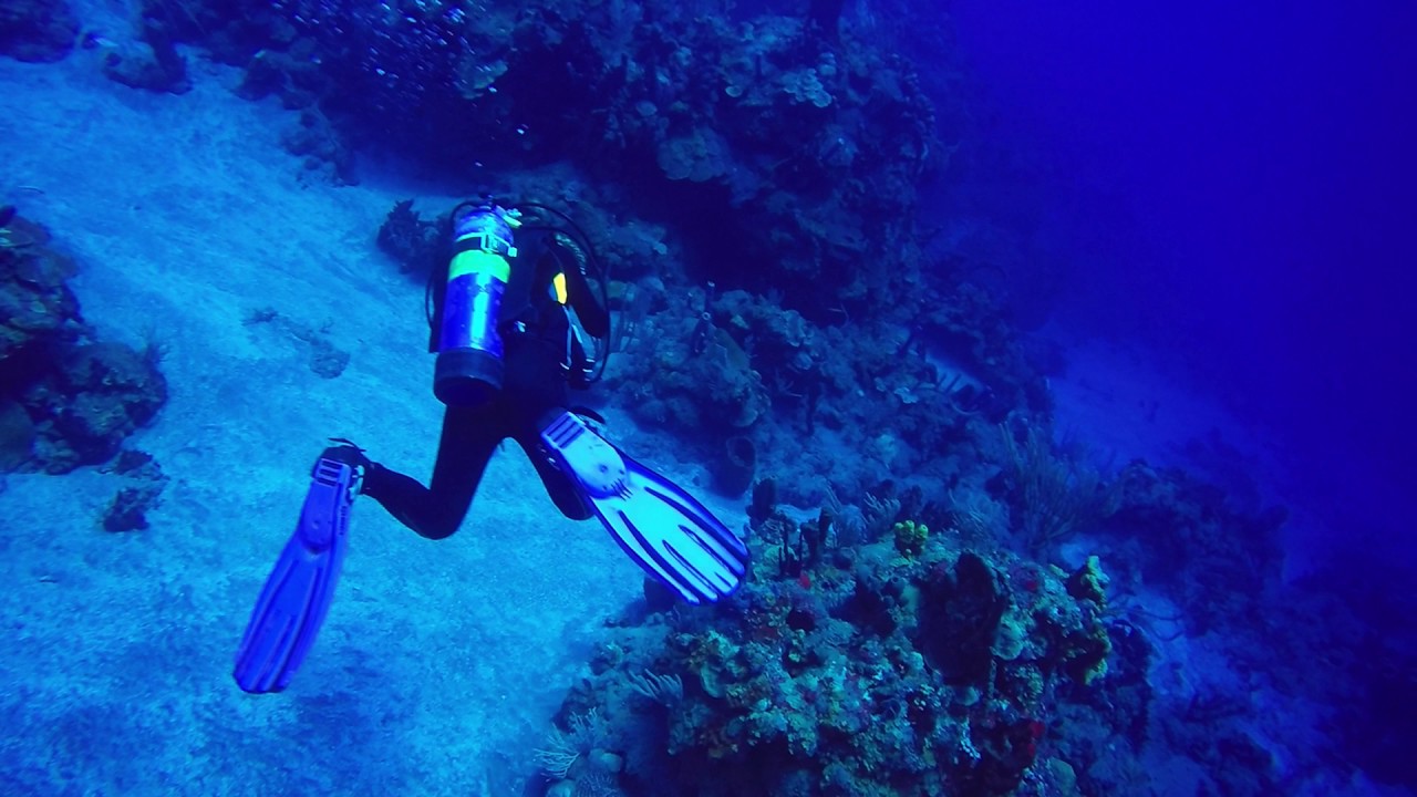 Saba Diving 2-13-17. David's Drop Off_94ft_44'_Vicky and Caroline_Sea ...