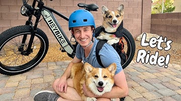 Joyriding on our new Heybike!