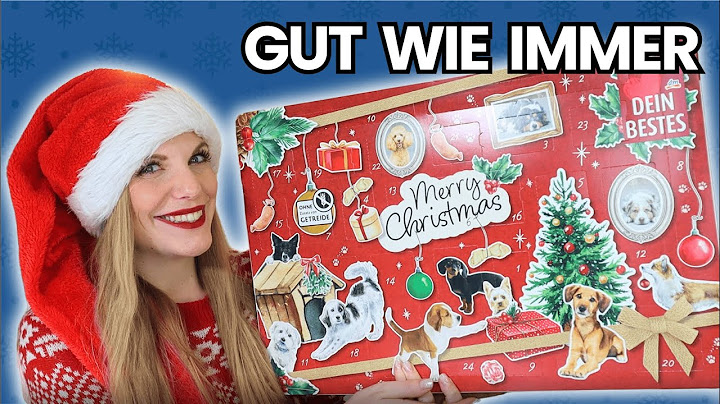 DM DEIN BESTES Hunde Adventskalender 2024 Unboxing
