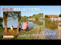 PLD Reflections Challenge CLOSES 12TH JULY (incorrect date in video - sorry) - Mike Browne