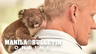 Race To Save Animals On Australias Fire-Ravaged Galapagos