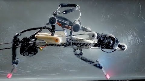 The Two-Legged Robots Walking Into the Future Like Ostrich | Mini Robots | AI in Tech